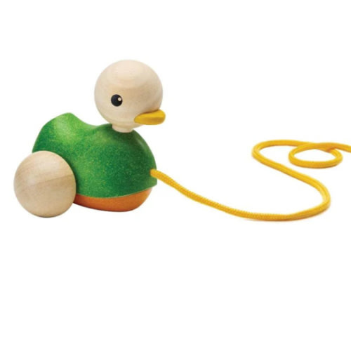 Pull along wooden duck toy