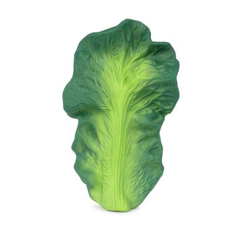 Kendall the Kale Teether
