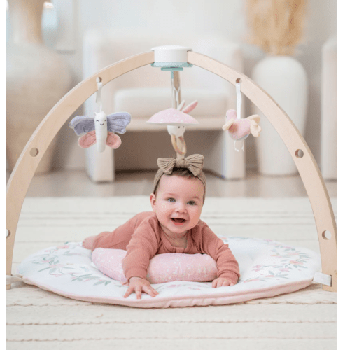 Baby Gym | Premium Baby Activity Gym | aden + anais