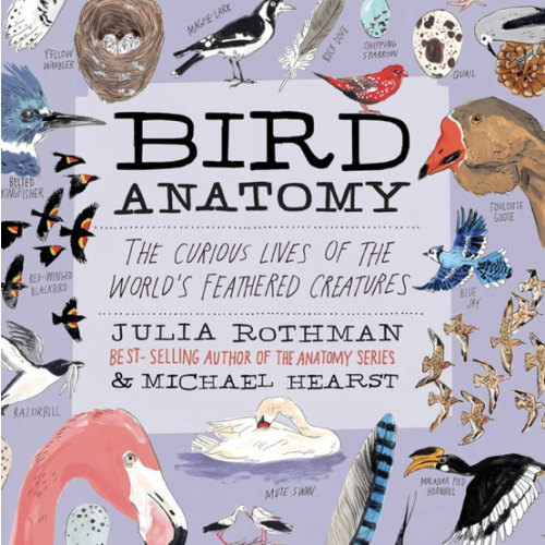 Bird Anatomy: The Curious Lives of the World's Feathered Creatures