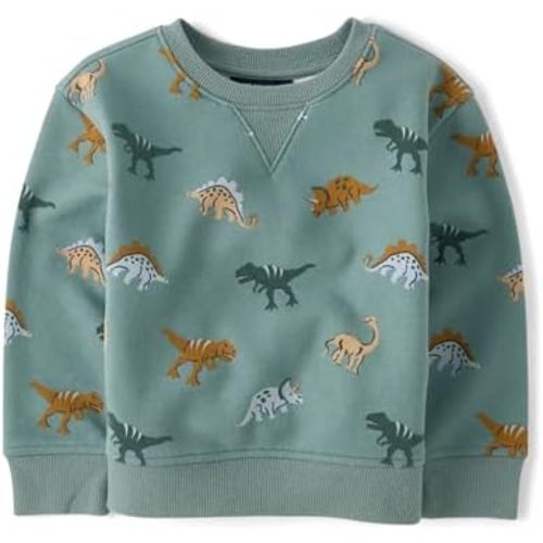 The Children's Place baby-boys And Toddler Long Sleeve Active Premium Fleece Sweatshirt