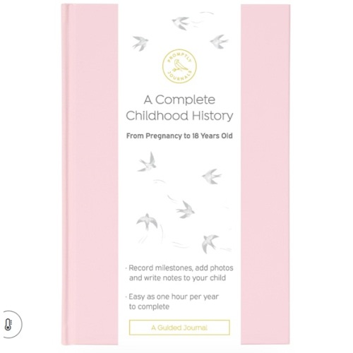 Blush Pink Promptly Journal