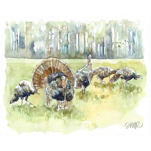 Green Field with Turkey Watercolor Reproduction - UNFRAMED