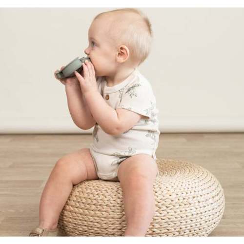 Organic Short Sleeve Romper & Pants Set, Turtles -Size 6-12M