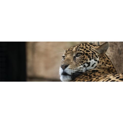 Audubon Nature Institute | Family Membership Gift Voucher