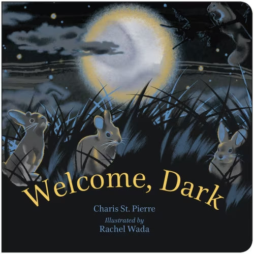 Welcome, Dark Book By Charis St Pierre, (Board Book) | Indigo