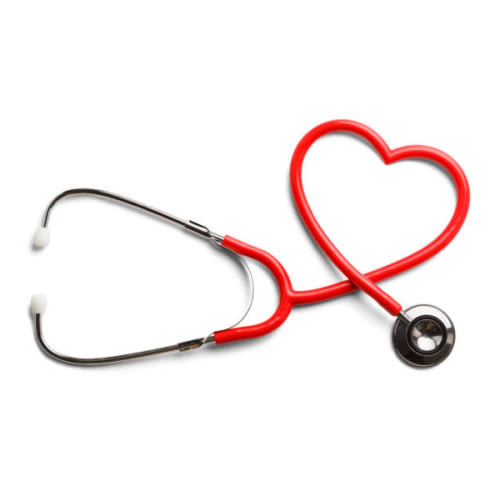Medical fees/Doula services