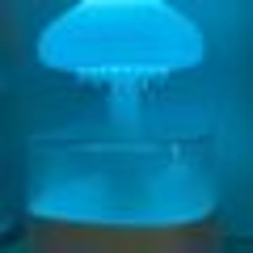 Mushroom Rain Air Humidifier Electric Aroma Diffuser
