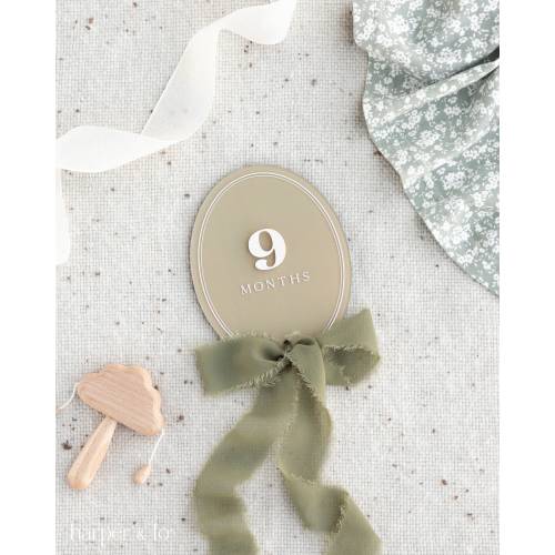Acrylic Oval Trim Milestone Cards | Monthly Milestone Plaque Markers,Boho Interchangeable Milestone Card,Baby Shower Gift, Photo Prop