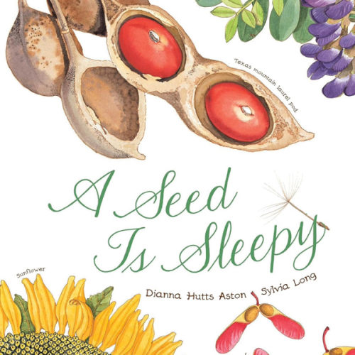 A Seed Is Sleepy: (Nature Books for Kids, Environmental Science for Kids) (Sylvia Long)