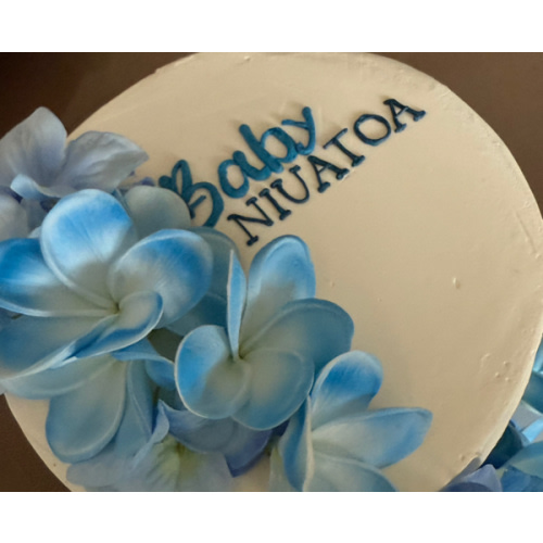 Baby Niuatoa Cash Fund