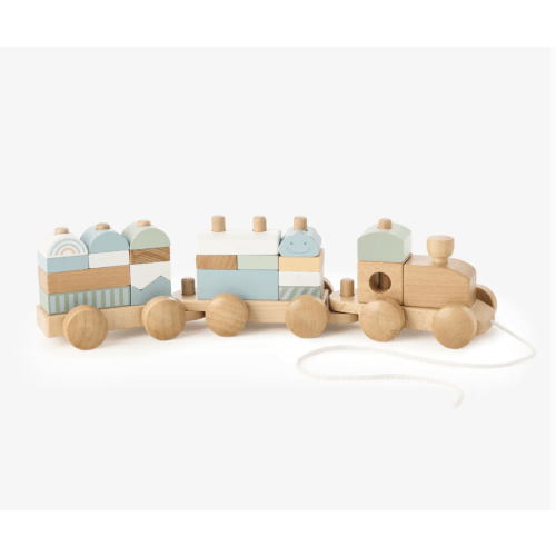 Wooden Push Toy Train