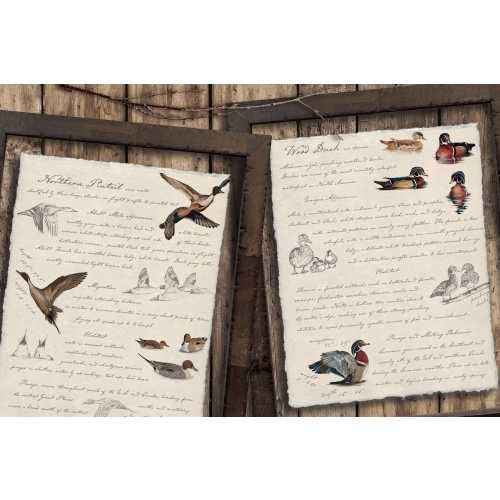 Antique Animal Vintage Duck Art Prints, Game Bird Art, Art for Office or Man Cave , Rustic Wall Art for Lake House or Cabin, Hunting Decor