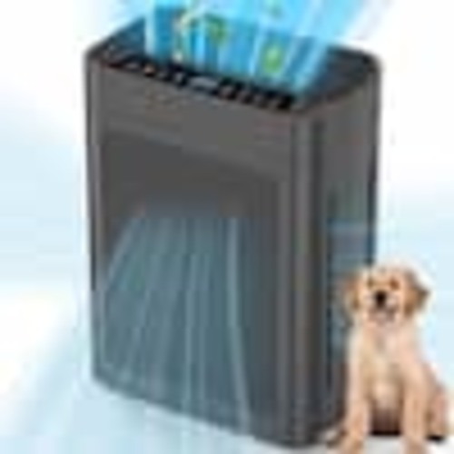 Edendirect 3000 sq. ft. Gray Whole House HEPA Air Purifier with Smart Controls and Whisper-Quiet, Air Quality Monitoring HD-AP01-B