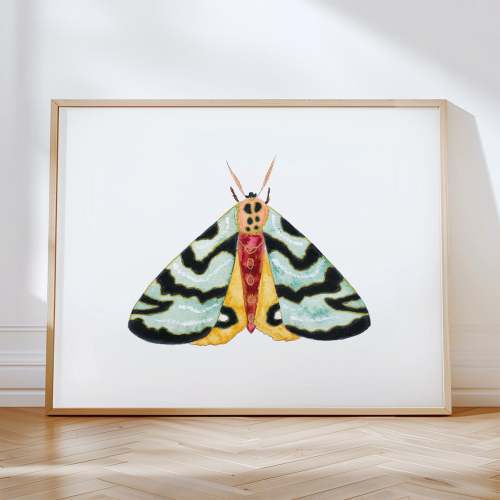 Moth No. 11 - 11x14 - Natural Oak Frame