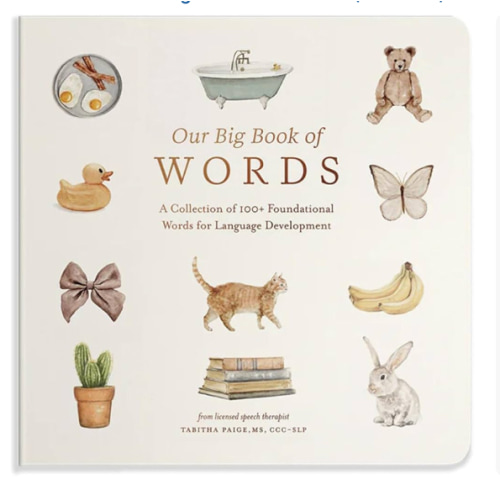 Our Big Book of First Words: A Collection of 100+ Foundational Words for Language Development (Tabitha Paige Children's Book Series)