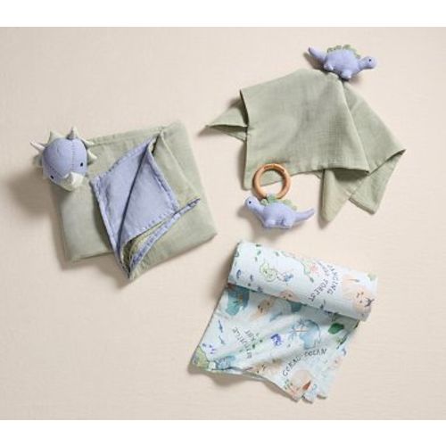 Dinosaur Muslin Gift Set , Multi