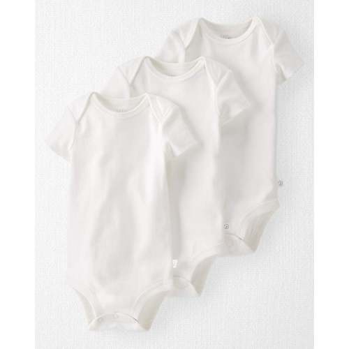 3-Pack Organic Cotton Rib Bodysuits