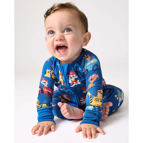 PAW Patrol Adventure Bay Heroes Zippy