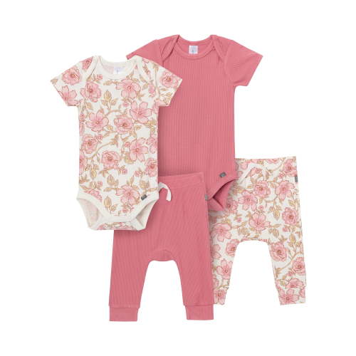 Modern Moments 4pc Outfit Set Baby Girl, Sizes (Newborn - 12 Months)