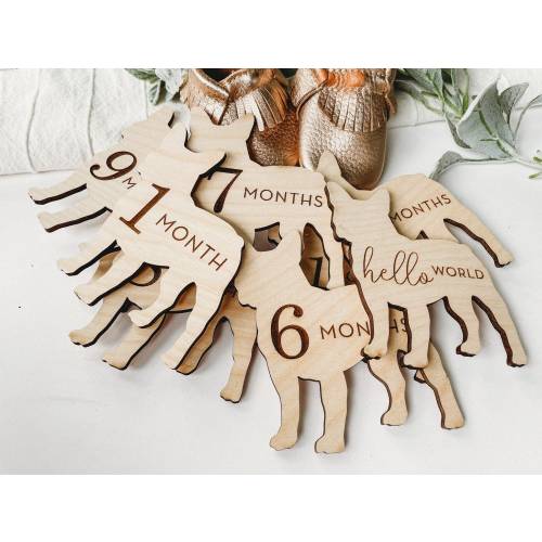 Dog Nursery French Bull Dog Monthly Milestone Plaques | Baby Shower Gift | Custom French Bull Dog Newborn Baby Gift for Dog Nursery