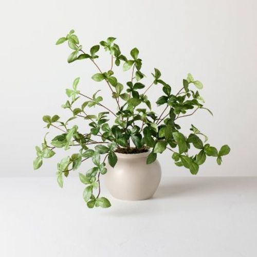 Large Green Gypsophila Artificial Plant - Hearth & Hand™ with Magnolia