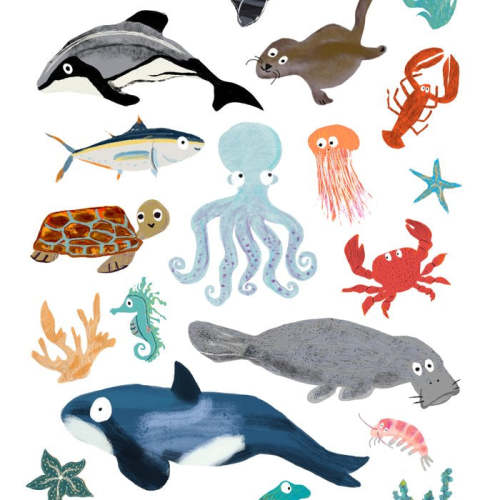 Sea Change: Ocean Animals