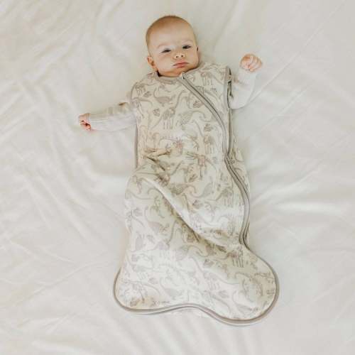 Sleep Bag - Jurassic Park Fossils