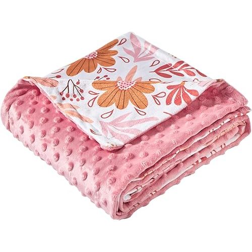 iEvolve Baby Nursery Bed Blankets Ultra Soft Double Layer Mini Blanket Minky Blanket Receiving Blankets Shower Gifts(30"*40",Daisy)