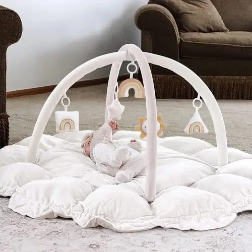 5-in-1 Thick & Plush Baby Play Gym, Play Mats for Floor, Tummy Time Mat with 6 Toys, Cat and Dog Bed, Convertible Stage-Based Developmental forToddler, Ball Pit, Pet Cushion, Cloudico