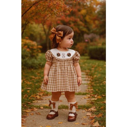 Girls Thanksgiving Dress, Girls Turkey Romper, Custom name Embroidery, Gingham Turkey, Thanksgiving Outfit, First Thanksgiving, Christmas