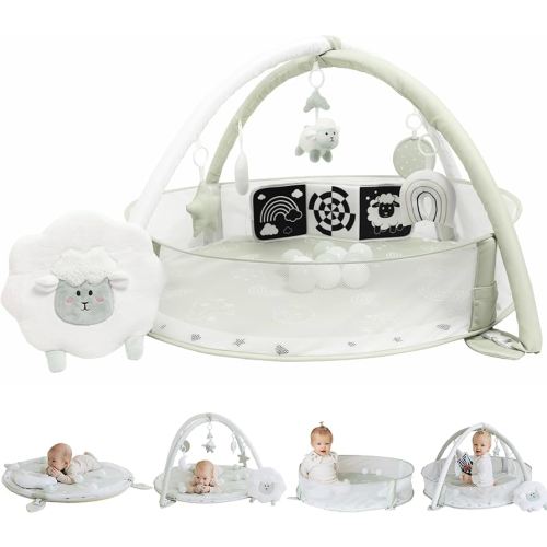 6-in-1 XL Play Mat & Play Gym, Baby Gym, Baby Activity Gym, Sensory Exploration and Motor Skill Development Toys (Sage)