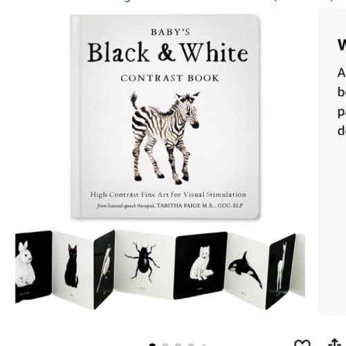 Baby's Black and White Contrast Book: High-Contrast Art for Visual Stimulation at Tummy Time (Tabitha Paige Children's Book Series)