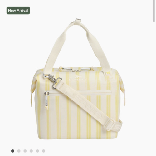 The All Day Julienne Mini Cooler – Stanley 1913