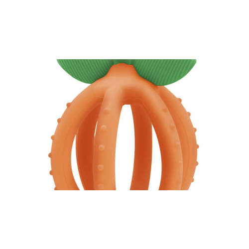 Bitzy Biter™ Teething Ball & Training Toothbrush