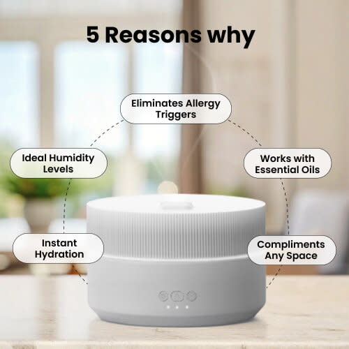 Special Offer | Clairu