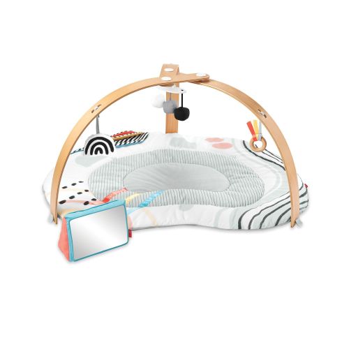 Discoverosity Montessori-Inspired Play Gym - Skip Hop | Carter's