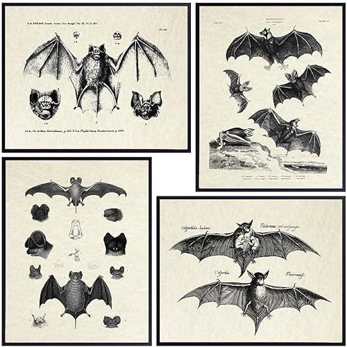 Bats Wall Decor - Vintage Retro Hipster Goth Art, Home or Room Decoration - Gift for Gothic, Horror, Vampire Fans - 8x10 UNFRAMED Creepy Scary Anatomical Picture Poster Print Set