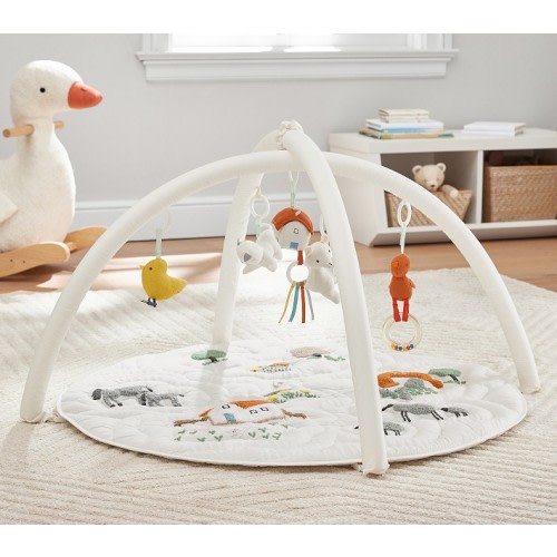 Farmhouse Activity Gym