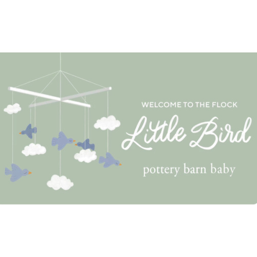 E Gift Card – The Perfect Gift for Any Occasion | Pottery Barn Kids