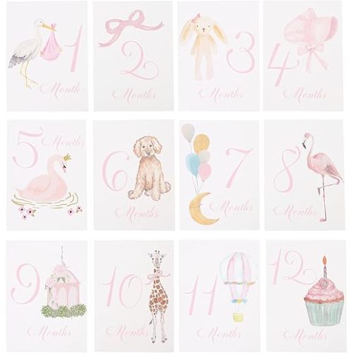 Baby First Holiday Cards - First Year Cards,Monthly Milestone Baby Shower,Milestone Monthly Holiday Photo,Photo Props (pink)