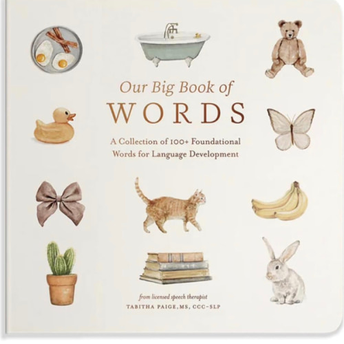 Our Big Book of First Words: A Collection of 100+ Foundational Words for Language Development (Tabitha Paige Children's Book Series)