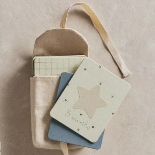 BABY MONTHLY MILESTONE KIT – 12 DONKEY CARDS