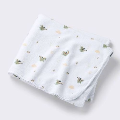 Plush Baby Blanket - Dragons - Cloud Island™: Reversible, Microplush, 40"x30"