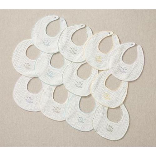 Babys First Months Milestone Bib Gift Set, Set of 12, Multi