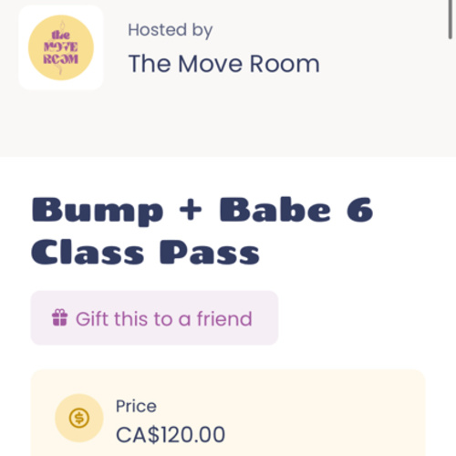 The Move Room Bump + Babe 6 Class Pass (Mommy and Baby Pilates Pass) - The Move Room