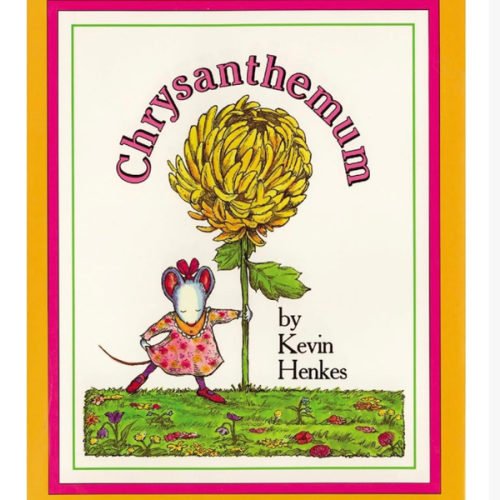 Chrysanthemum