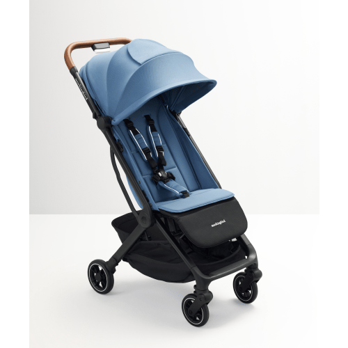 Travel Stroller - Slate Blue