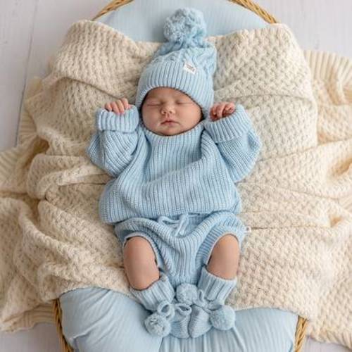 Garden Friends Organic Fitted Bassinet Sheet & Change Pad Cover | Snuggle Hunny
