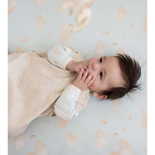 Burt's Bees Baby Unisex Newborn Essentials 100% Organic Cotton Beekeeper Wearable Blanket